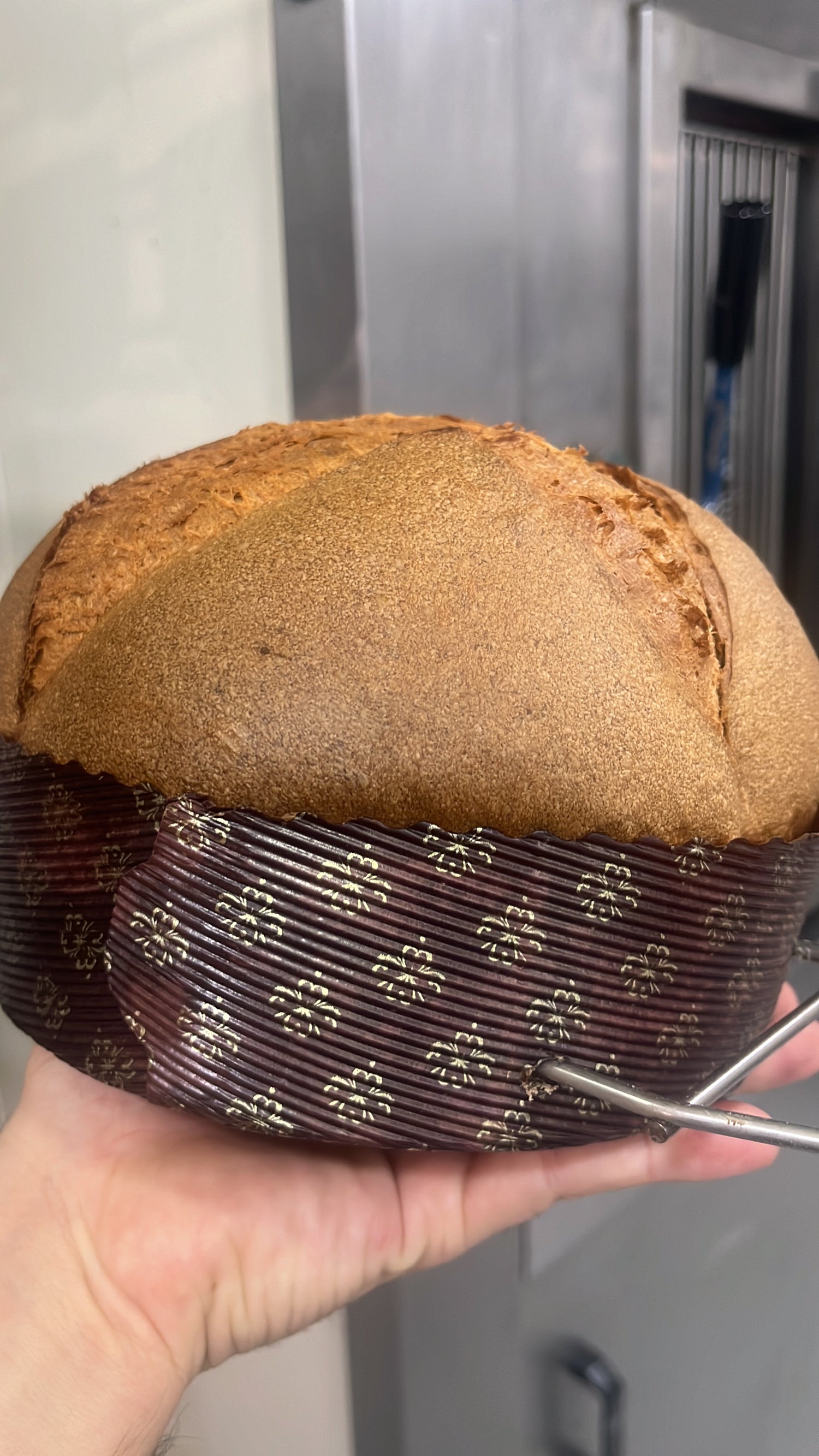 Panettoni artigianali